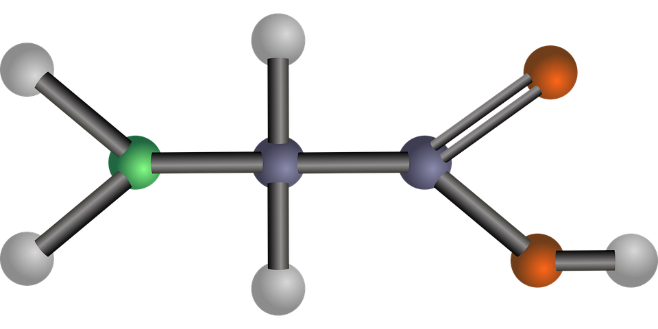 glycine