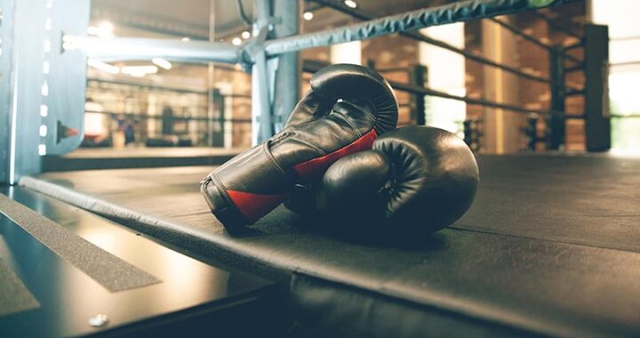 Boxe et bootcamp : l’entrainement parfait pour un corps sain et une confiance en soi accrue