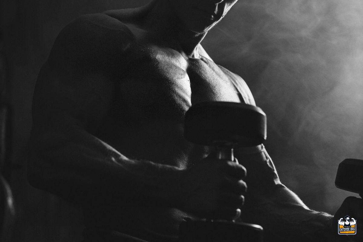 Comment réussir un programme renforcement musculaire intense